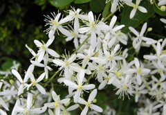 手持ち花火のように