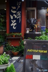 深川・門前仲町3