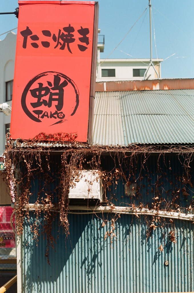 フィルム散歩　TAKO