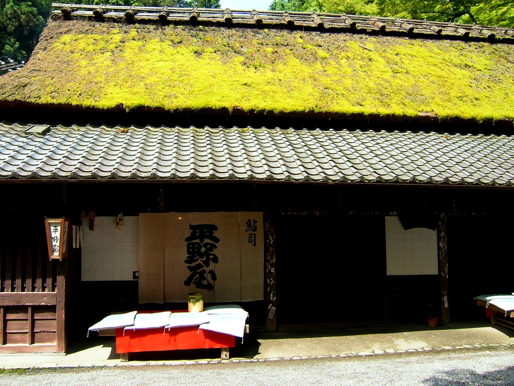 京都嵯峨野