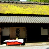 京都嵯峨野