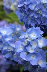 青い宝石へと