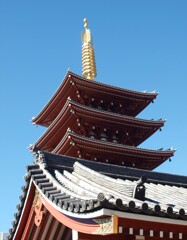 浅草点描