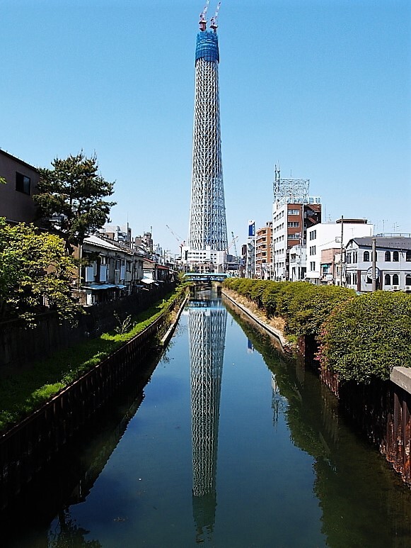 蔵出し 川の中のツリー