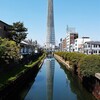 蔵出し 川の中のツリー