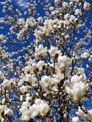 今年もありがとう