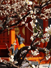 神田明神にて