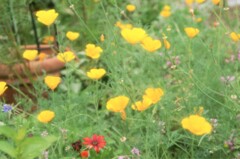 季節は夏へと