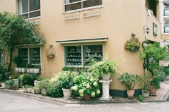 緑を愛する雑貨店(フィルム)