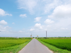 夏の踏み切り（成田線　下総神崎付近にて）