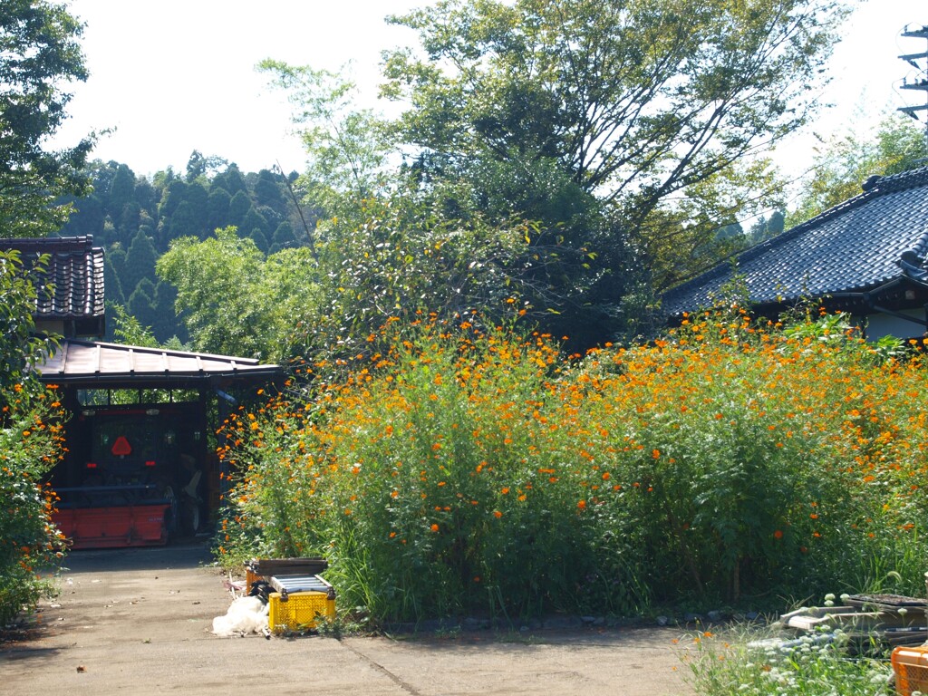 九月の里山