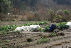 里山冬景色