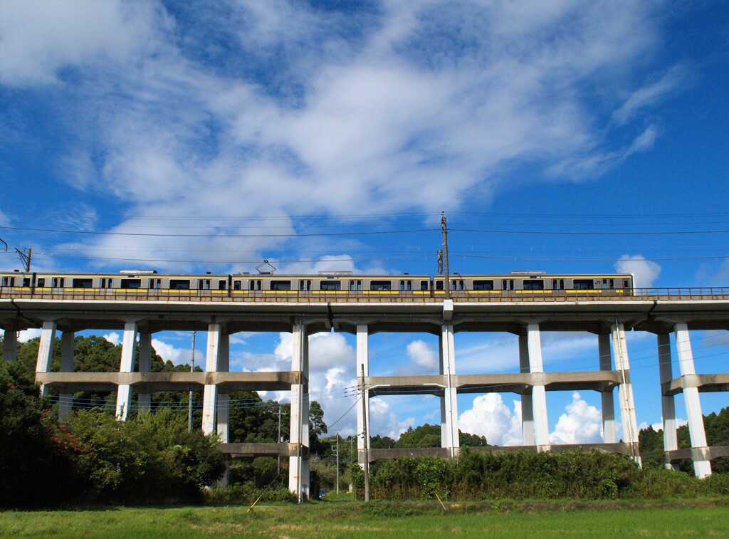 橋梁を往く