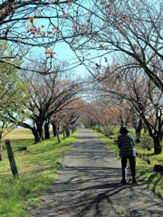 牧場にも春12