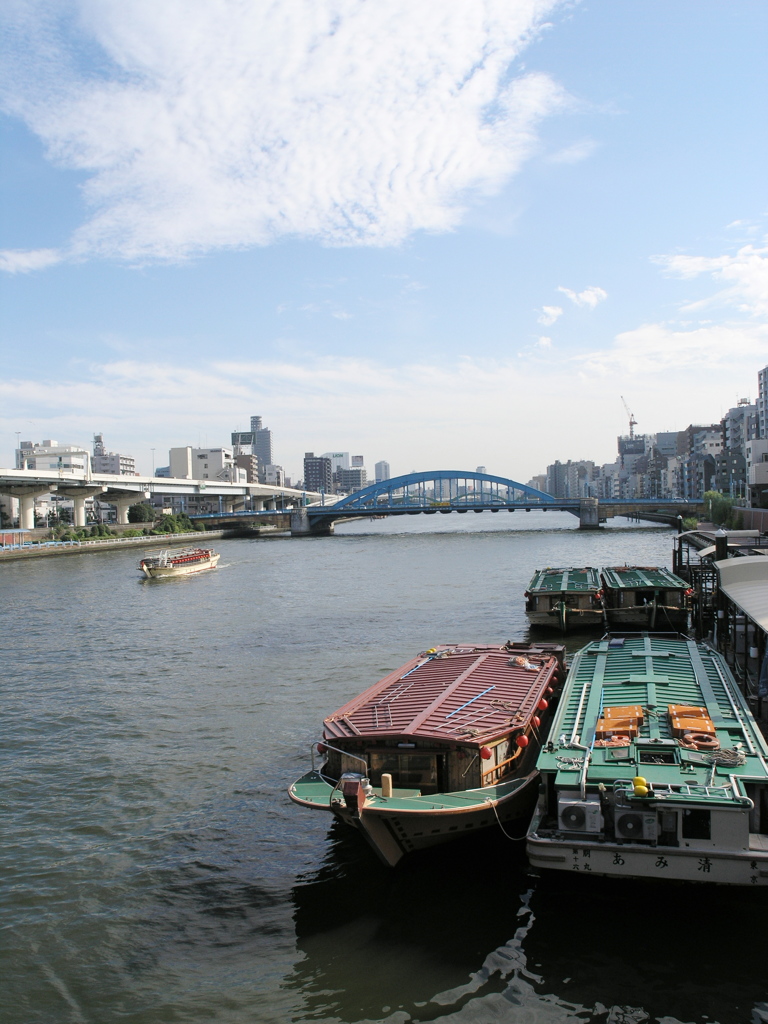 夏・大川の流れ