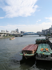 夏・大川の流れ