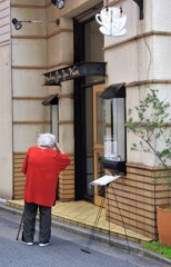 マダムの楽しみ