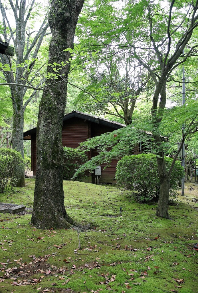 ちょっと軽井沢へ