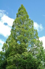 八月も後半戦へ