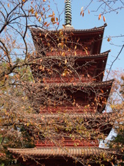 秋の日にⅢ