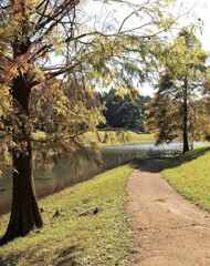 秋の公園・散歩道