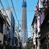 蔵出し  下町のツリー
