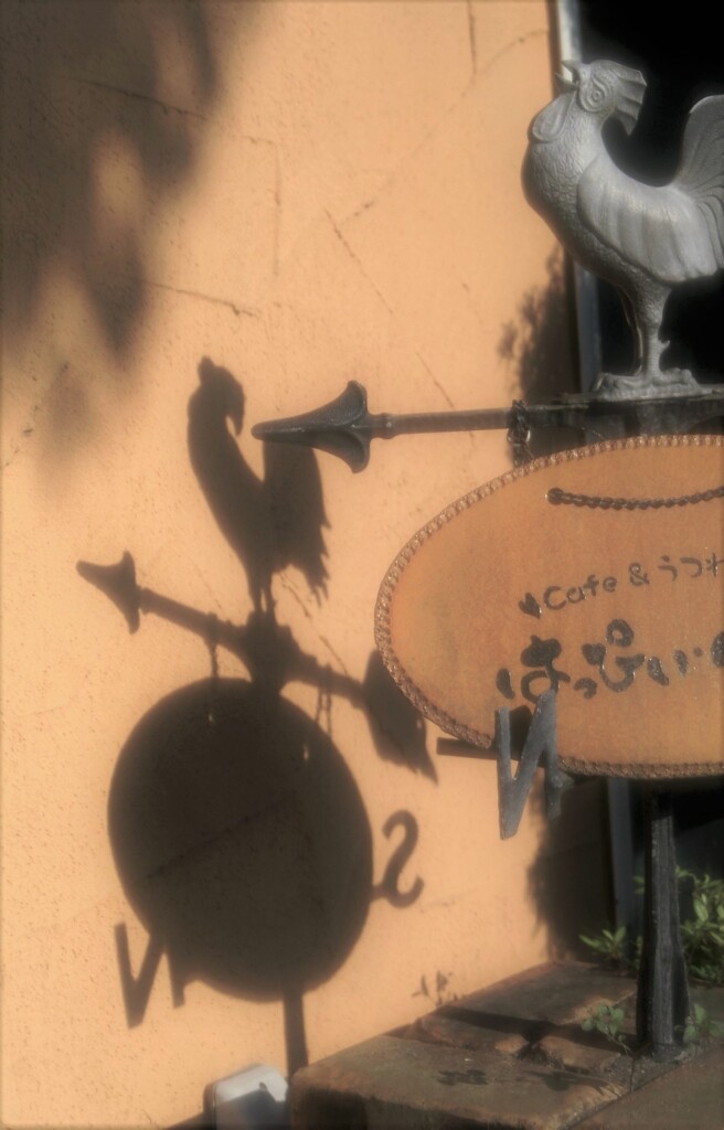 ジャンクレンズを楽しむ