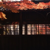 本土寺の秋Ⅳ
