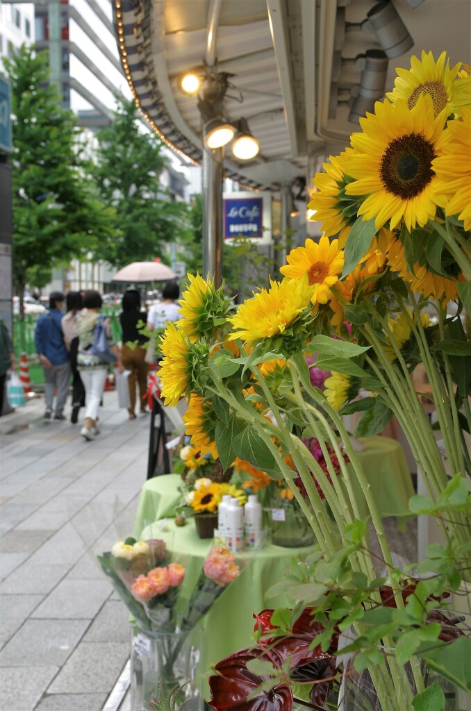 四丁目の花屋