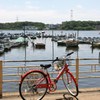 手賀沼にて