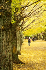 次の目的地は