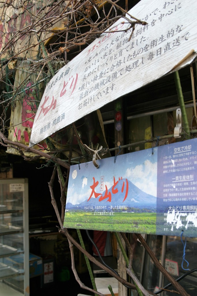 鶏肉専門店