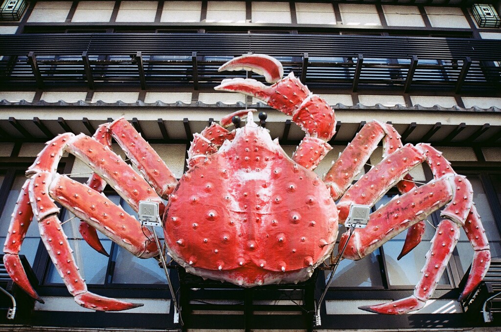 カニ食べたい(フィルム)