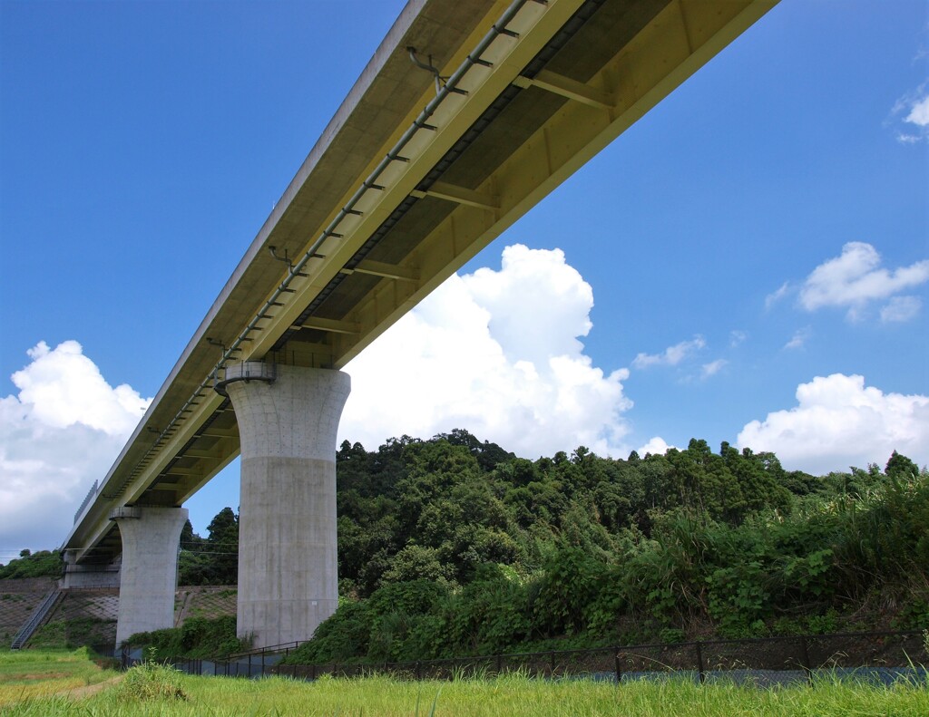 夏の圏央道
