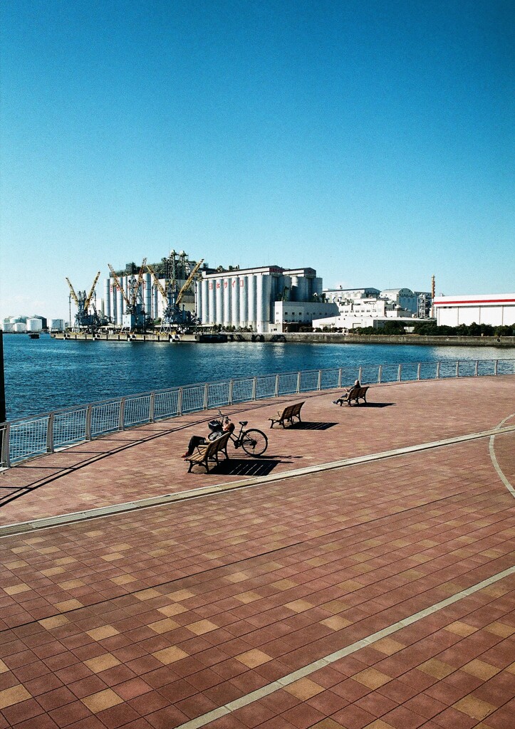 港で過ごす休日(フィルム)