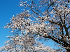 新年度のスタートだけど…