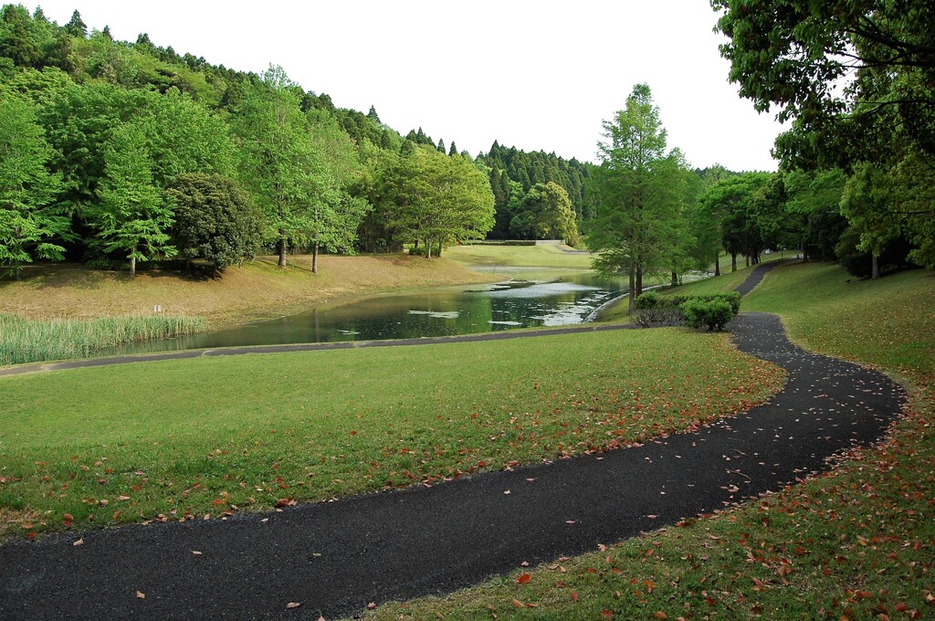 水辺の散歩道