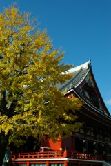 浅草寺秋色3