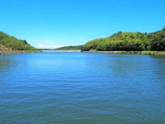 市津湖