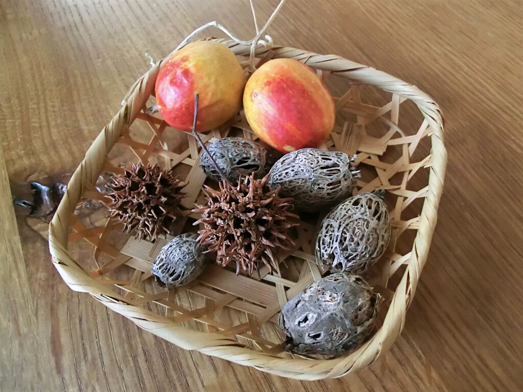 遠い秋の忘れもの