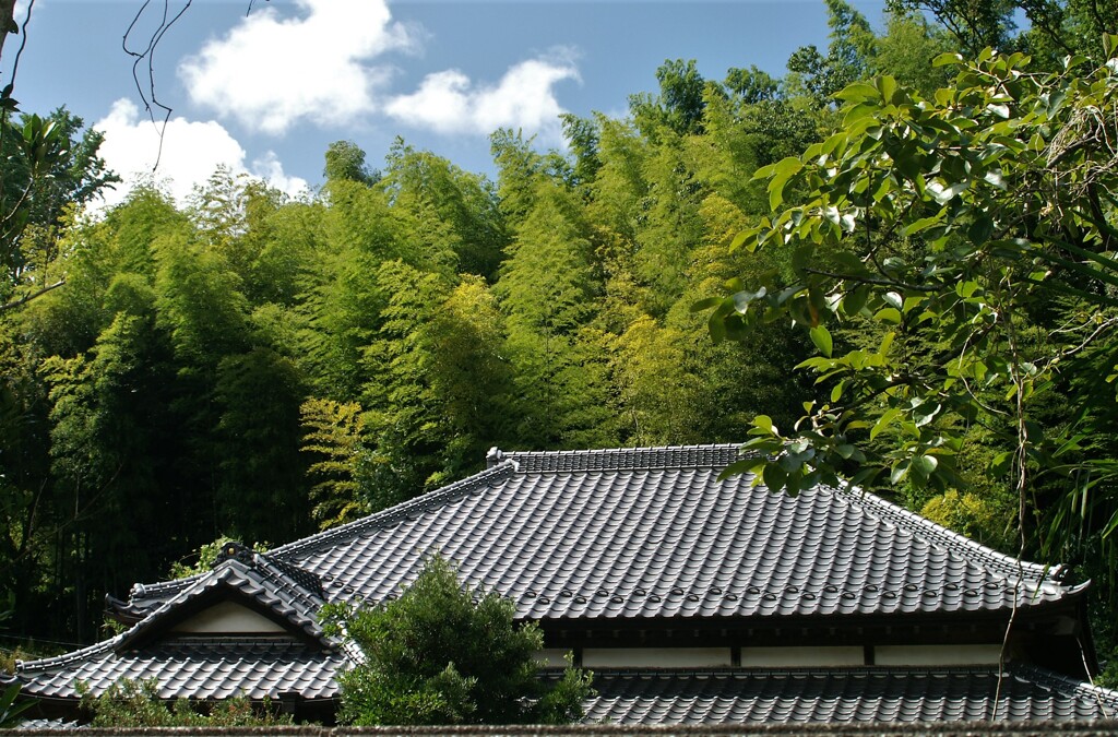 盆帰り