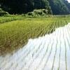 豊作を願って