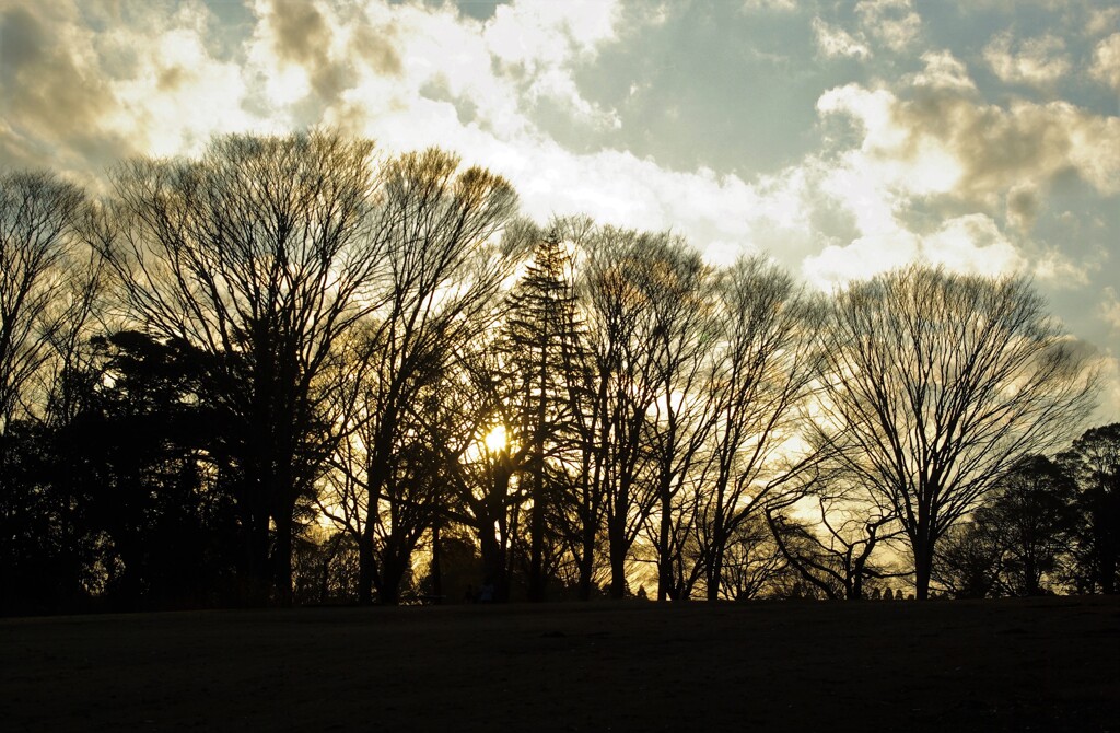 ちょっぴりさみしい夕暮れ時