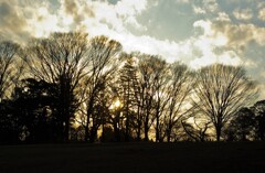 ちょっぴりさみしい夕暮れ時