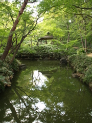 都会のオアシス