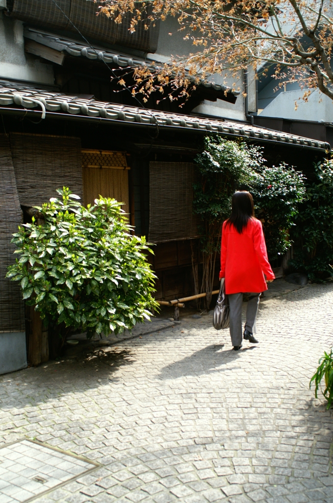 神楽坂でみーつけたⅠ