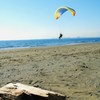 TAKE OF