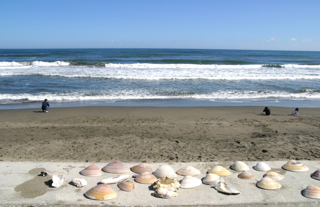 海の思い出