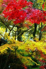 晩秋の古寺8