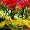 晩秋の古寺8